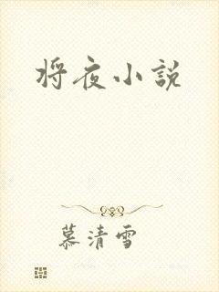 将夜小说