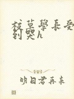 校草学长受被做到哭h