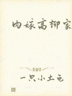 肉嫁高柳家2