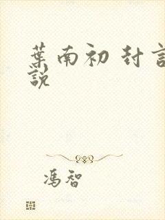叶南初 封言小说