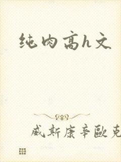 纯肉高h文