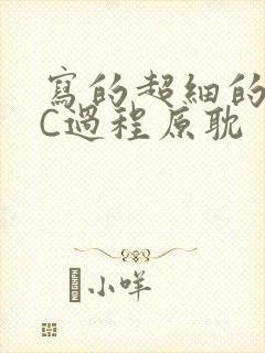 写的超细的多肉C过程原耽