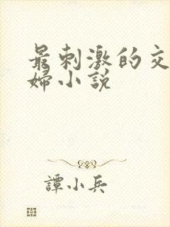 最刺激的交换夫妇小说