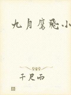 九月鹰飞小说