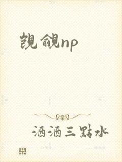觊觎np