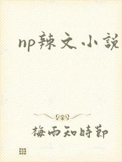 np辣文小说
