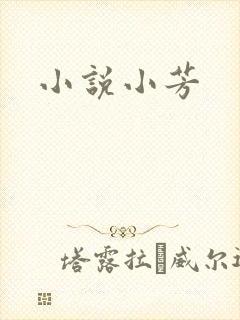 小说小芳