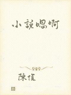 小说嗯啊