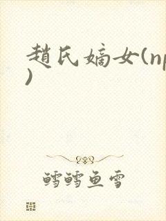 赵氏嫡女(np)