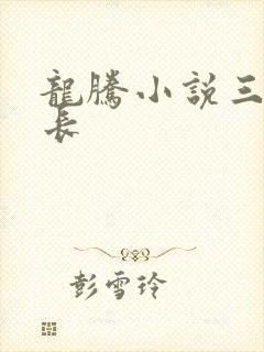 龙腾小说三宝局长