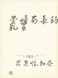 贵妇局长的蕾丝乳罩