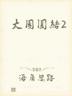 大团圆结2