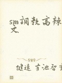 sm调教高辣h文