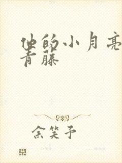 他的小月亮by青藤