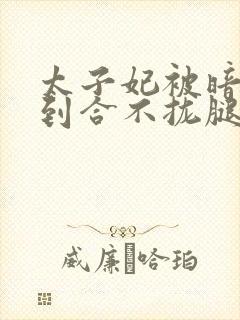 太子妃被暗卫C到合不拢腿