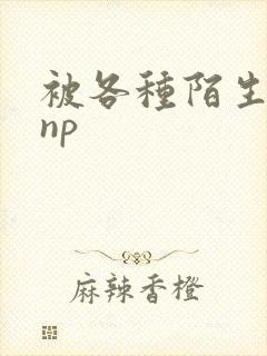 被各种陌生人 np