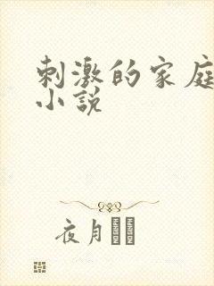 刺激的家庭乱仑小说