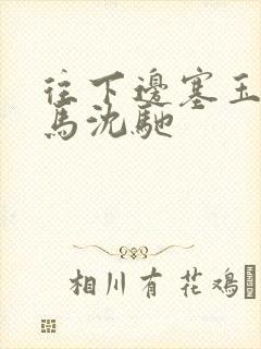 往下边塞玉器骑马沈驰