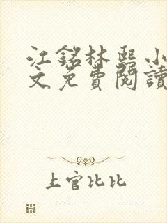 江铭林熙小说全文免费阅读