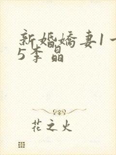 新婚娇妻1一25李晶