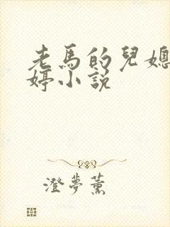 老马的儿媳顾婉婷小说