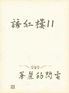 诱红楼11