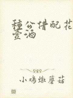 种公借配花间一壶酒