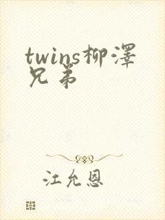 twins柳泽兄弟