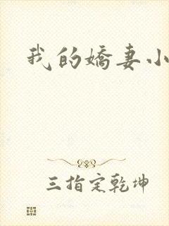 我的娇妻小说
