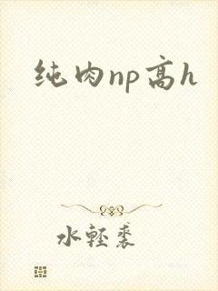 纯肉np高h