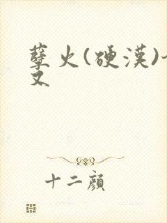 孽火(硬汉)今又