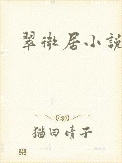 翠微居小说