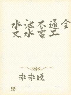 水泄不通金银原文水电工