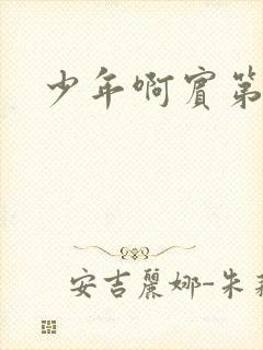 少年啊宾第二部