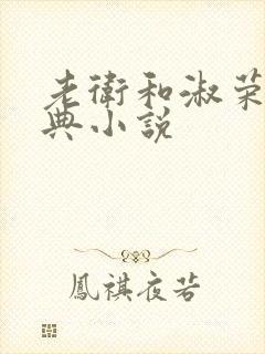 老卫和淑荣的经典小说