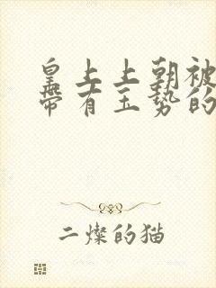 皇上上朝被迫坐带有玉势的龙椅