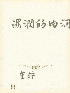 湿润的肉洞