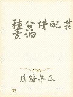 种公借配花间一壶酒