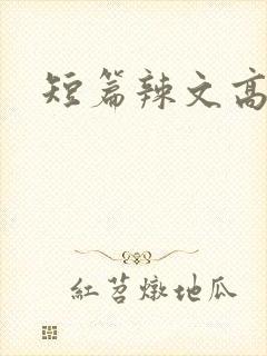 短篇辣文高h