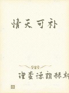 情天可补