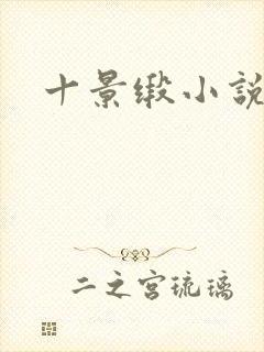 十景缎小说