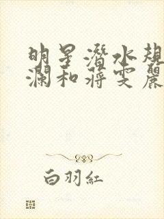 明星潜水规则杨澜和蒋雯丽