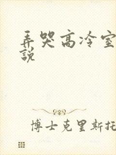 弄哭高冷室友小说