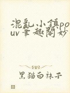 混乱小镇popuv笔趣阁妙妙