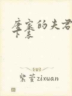 唐家的夫君们帘下衾