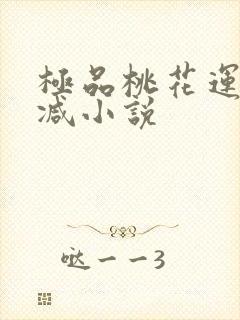 极品桃花运未删减小说