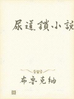 尿道锁小说封面