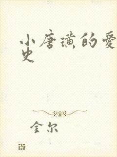 小唐璜的爱情历史