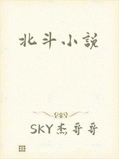 北斗小说
