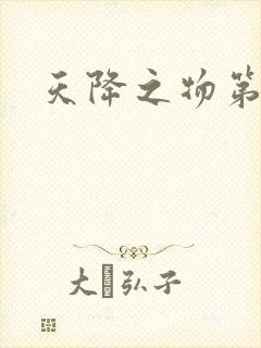 天降之物第一季